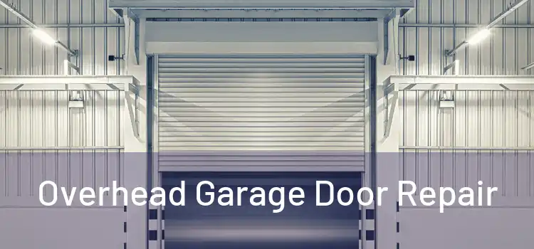  Overhead Garage Door Repair 